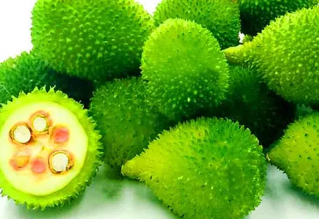 Fresh AA Kakarakaya recipes collection including curries, fries, and homestyle gravies to enjoy the unique taste of spiny gourd in Indian cooking.