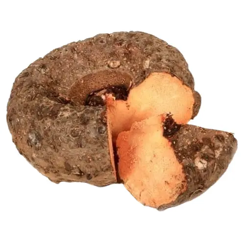 Elephant Yam – Nutritious Indian Root Vegetable Elephant yam, a healthy Indian root vegetable rich in fiber and nutrients, known for its earthy flavor and smooth texture, ideal for curries and stir-fries.
